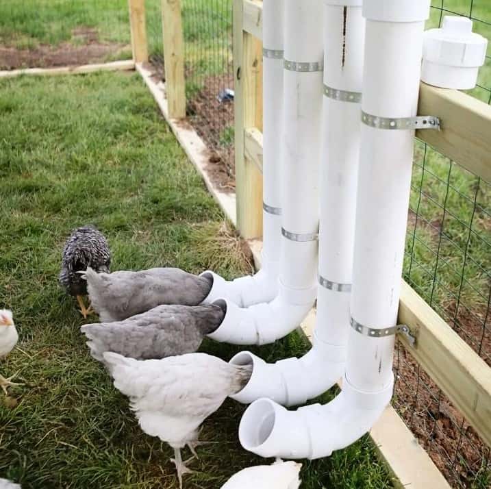 diy pvc chicken feeder Do-It-Yourself PVC Chicken Feeders