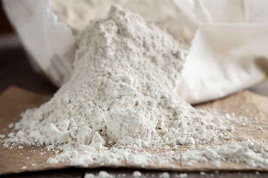 how much diatomaceous earth for chickens