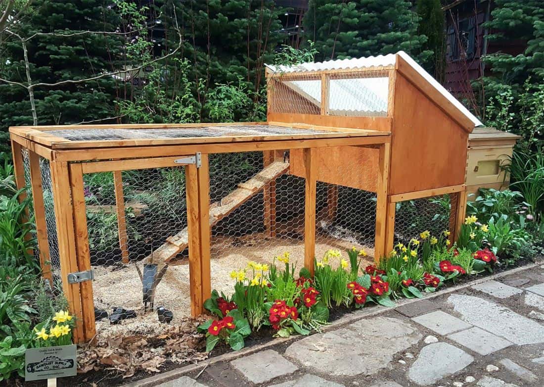 how to build a chicken coop