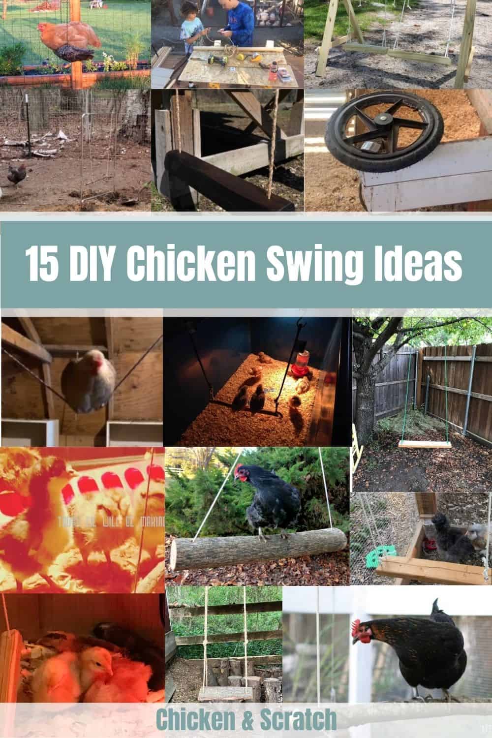 how to build a chicken swing