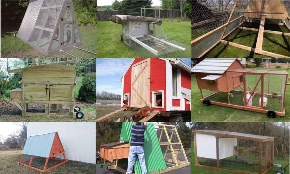 18 Mobile Chicken Coop Plans You Can Easily Do At Home