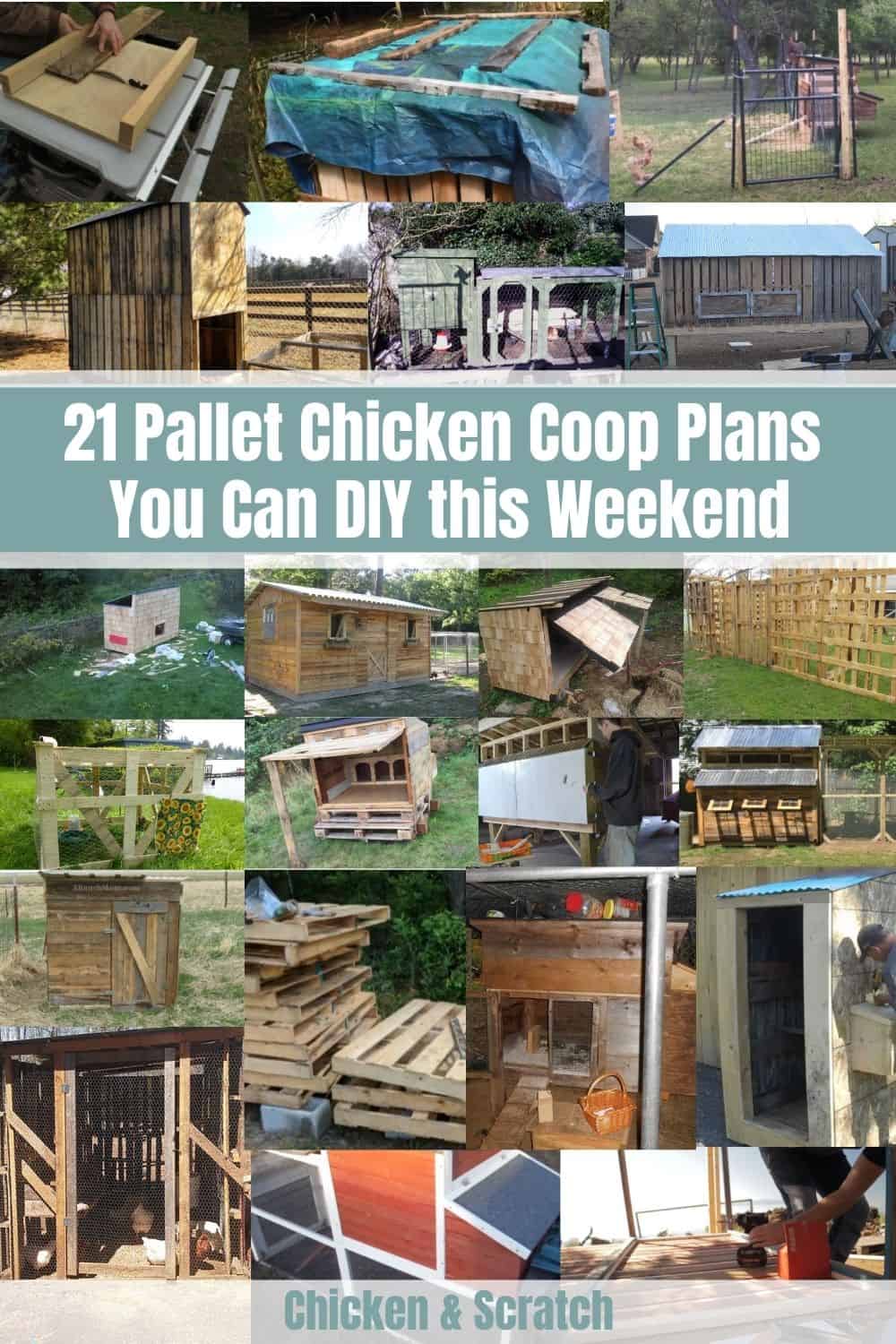 pallet chicken coop plans