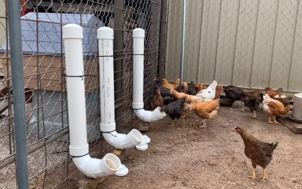 pvc chicken feeder diy DIY Easy Chicken Feeder