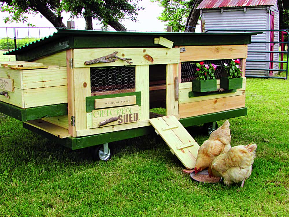 rolling chicken coops