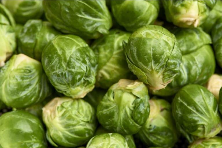 Can Chickens Eat Brussels Sprout? (Nutrition, Benefits & Feeding Tips)