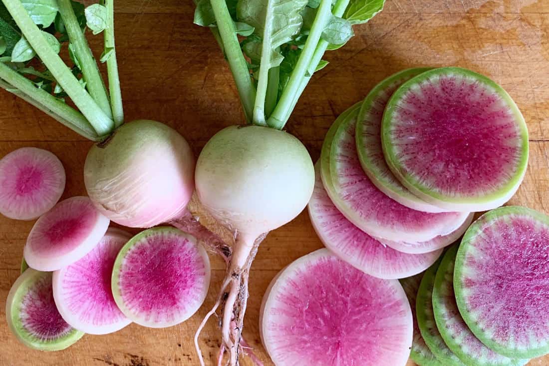 chicken eat Watermelon radishes