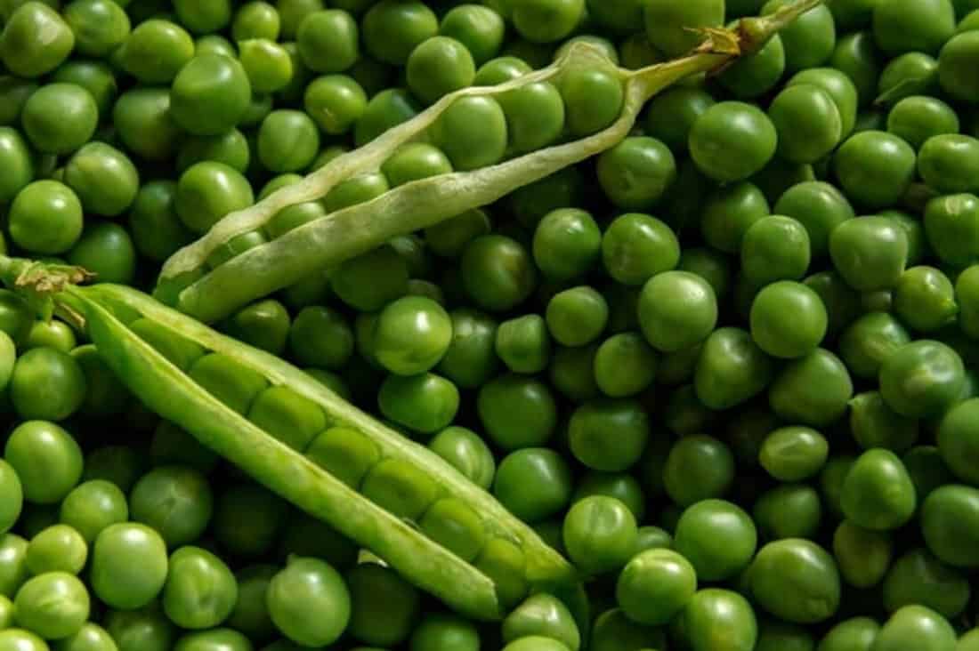 Feed Your Chicken Peas