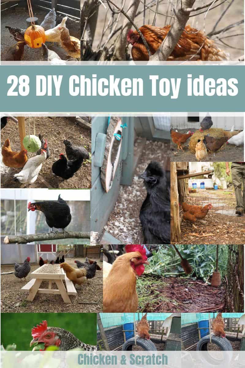 DIY Chicken Toy PLANS