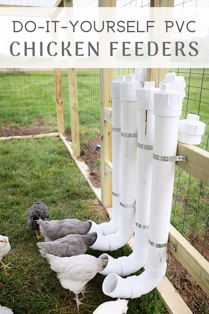 PVC chicken feeders