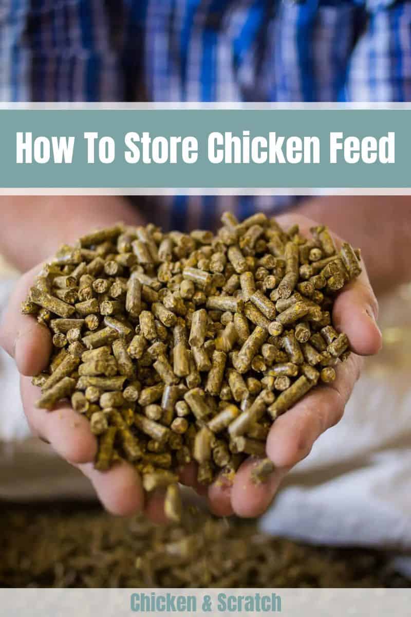 Store Chicken Feed