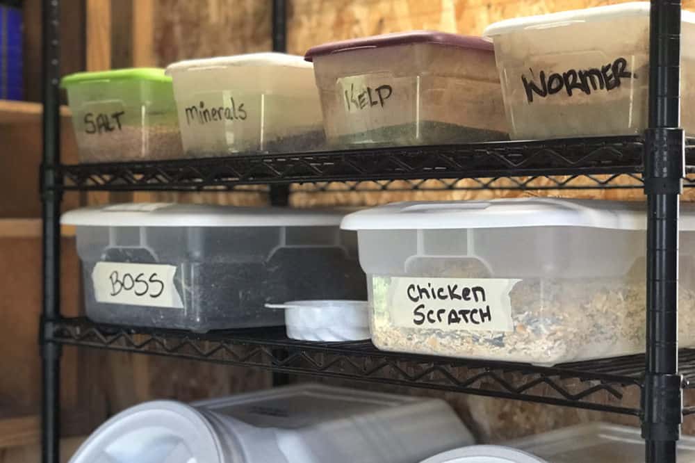 storing chicken feed