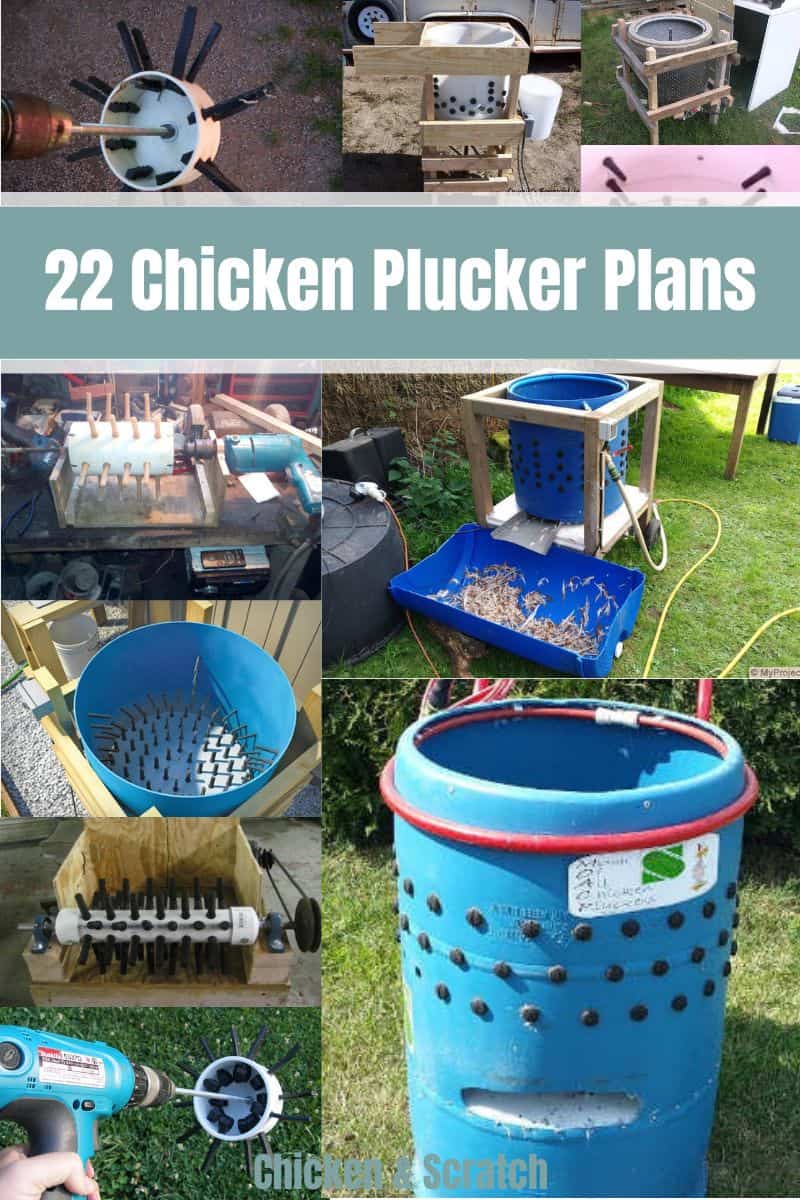 Chicken Plucker Plan