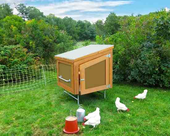 Solar Backyard Chicken-Coop Building Plan