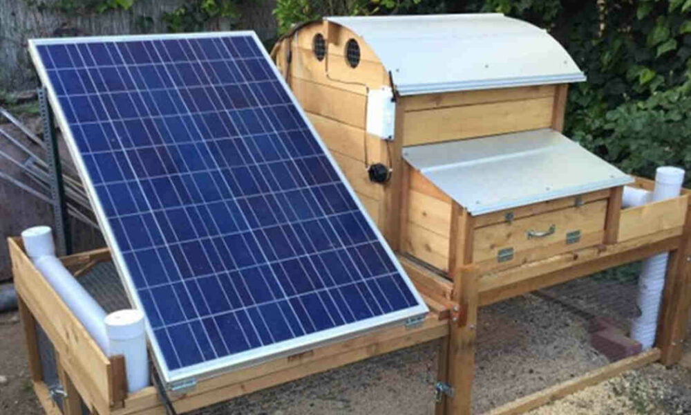 24 Best DIY Solar Powered Chicken Coop Plans