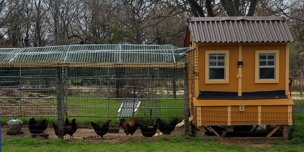 The Solar-Powered Chicken Coop Fan Project