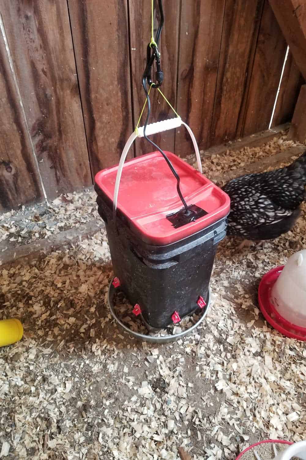 DIY Heated Waterer 