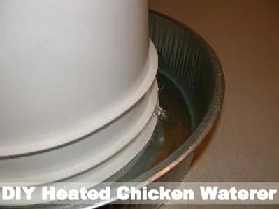 Simple Chicken Heated Waterer