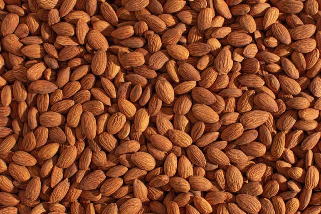 Can Chickens Eat Almonds? (Benefits, Risks, and Feeding Tips)