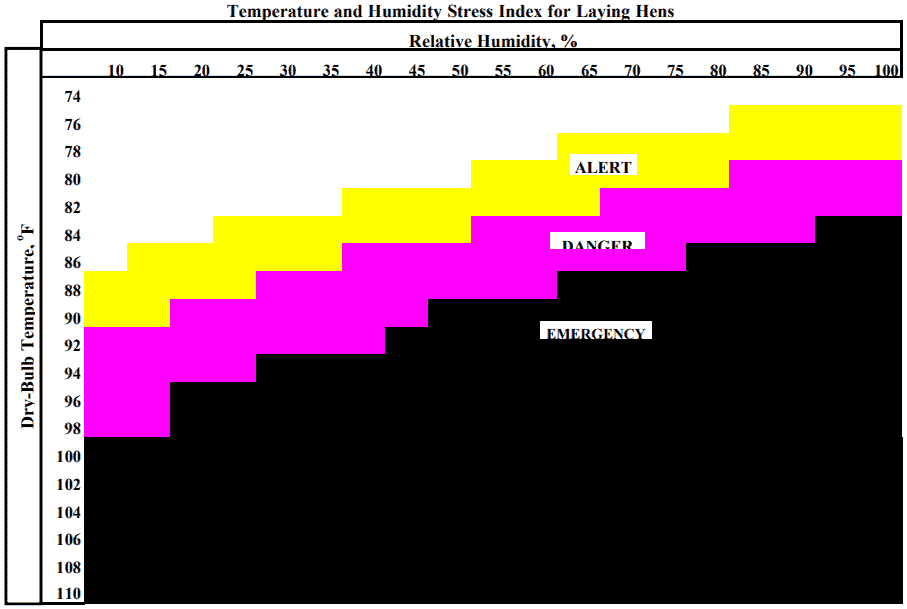 CHICKEN HEAT STRESS temperature