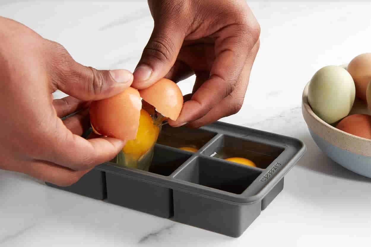 Types of Eggs for Freezing