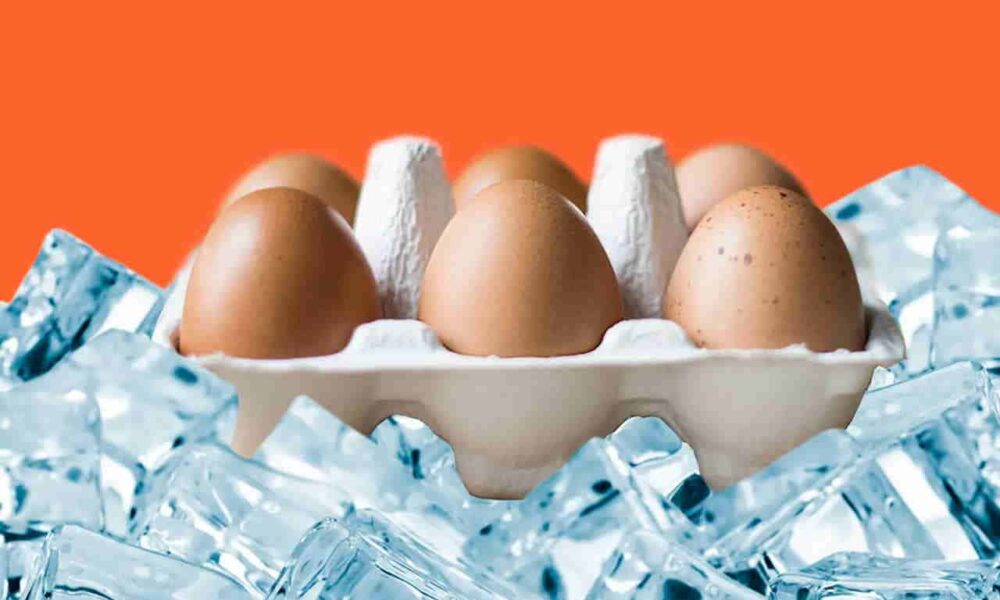 Can You Freeze Eggs? (Discover the Truth)