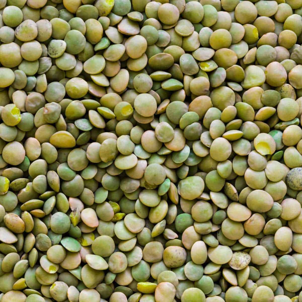 Green lentils