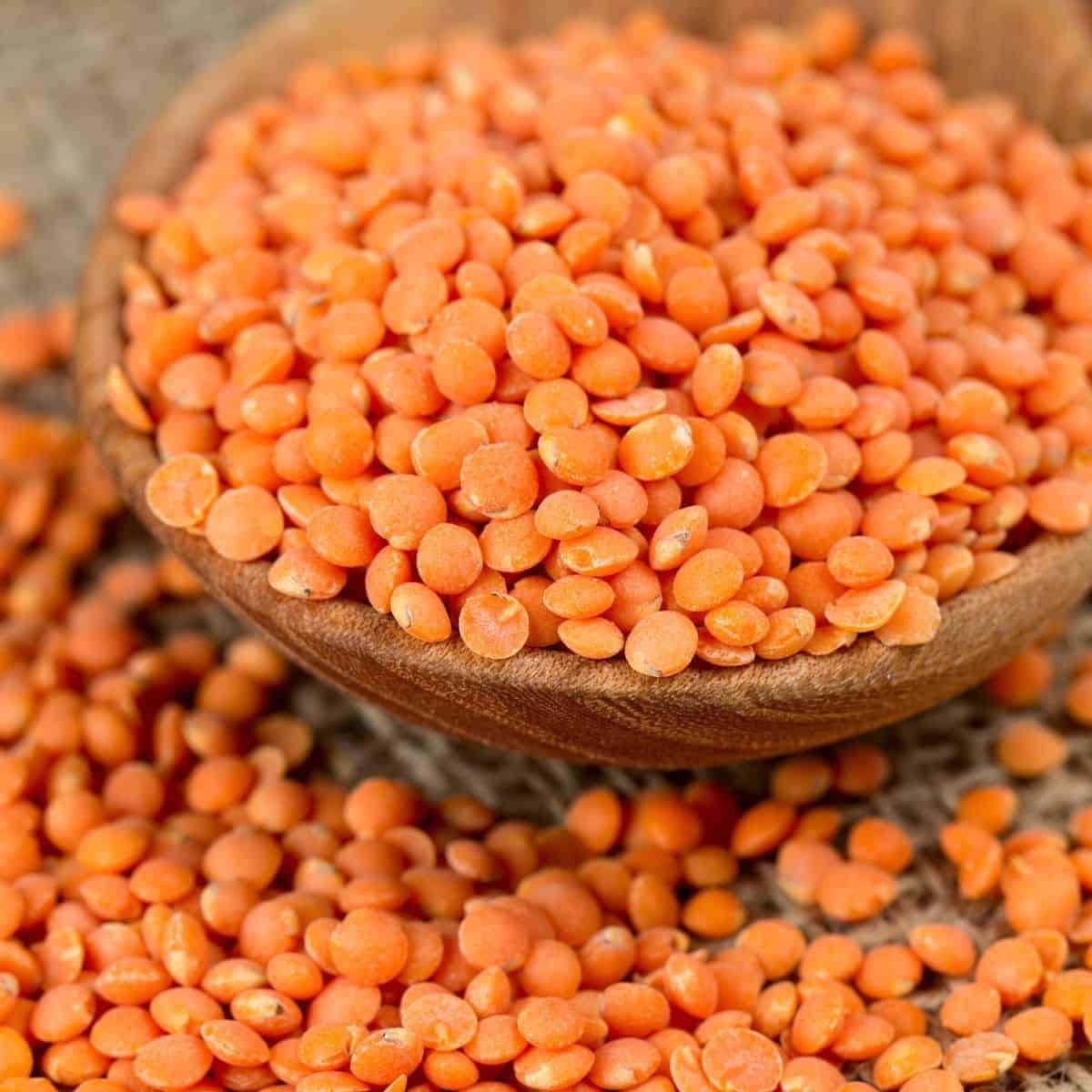 Red lentils