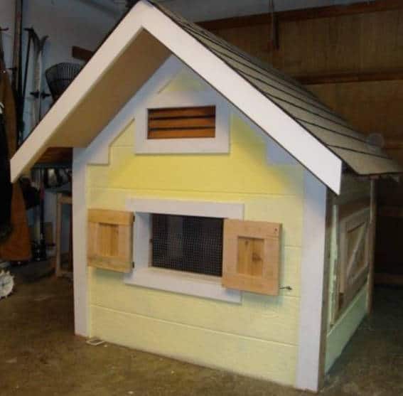 Add Doors, Windows, and Nesting Boxes