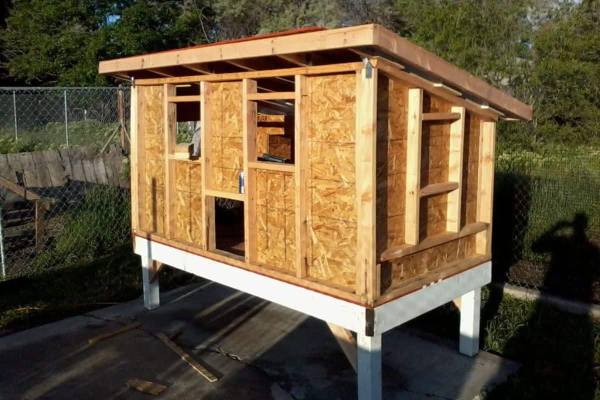 Building a DIY Chicken Coop On a Budget
