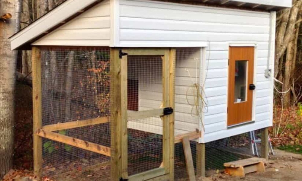 DIY Winter-Proof Chicken Coop: A Step-by-Step Guide