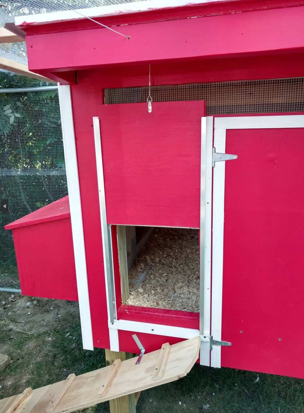 Finalizing the Nest Box and Interior Layout