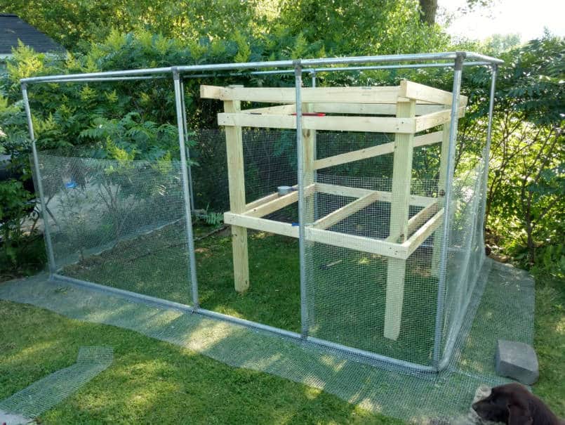 Positioning the Coop