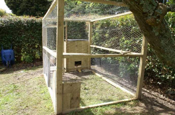Setting Up the Feeder and Waterer