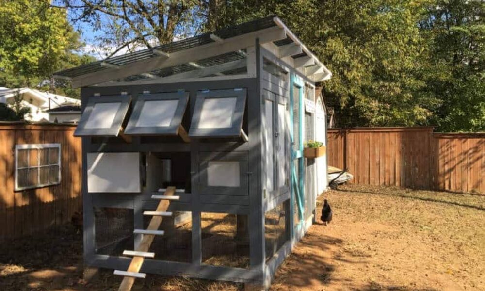 DIY Elevated Chicken Coop with Secure Run