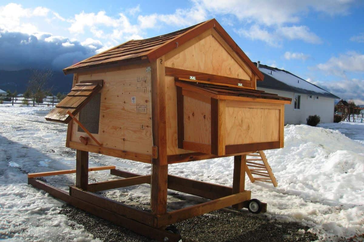 diy Functional Chicken Coop